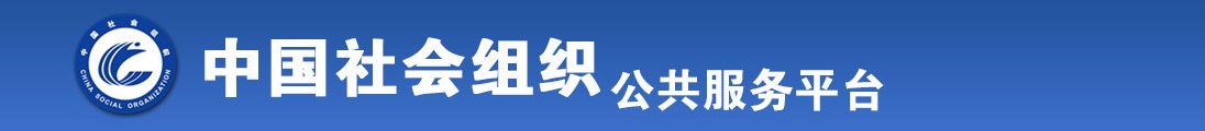 亚洲插逼网站全国社会组织信息查询